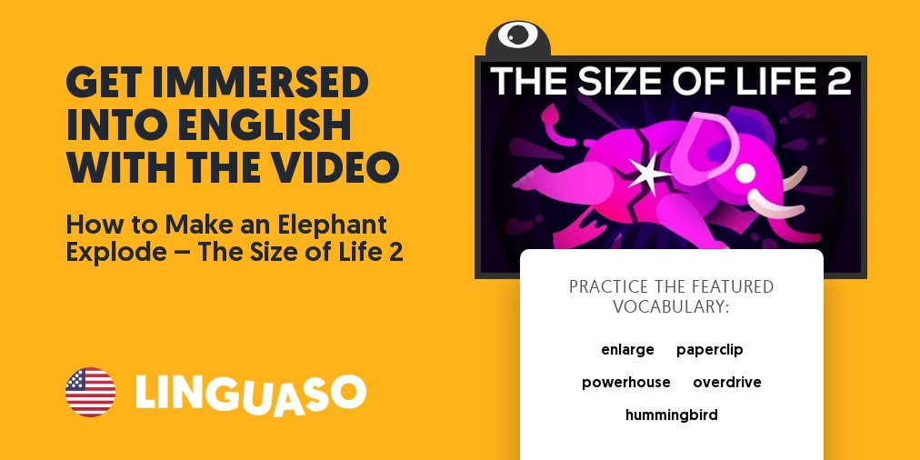 English Video How to Make an Elephant Explode… Linguaso